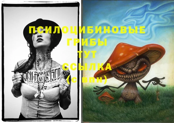 МДПВ Куйбышев