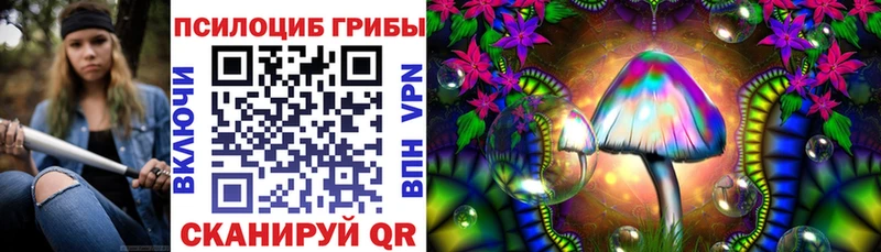 Псилоцибиновые грибы Psilocybine cubensis  Купить  Ядрин 